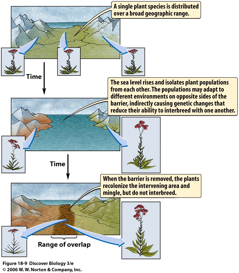 Geographic Isolation Examples Animals